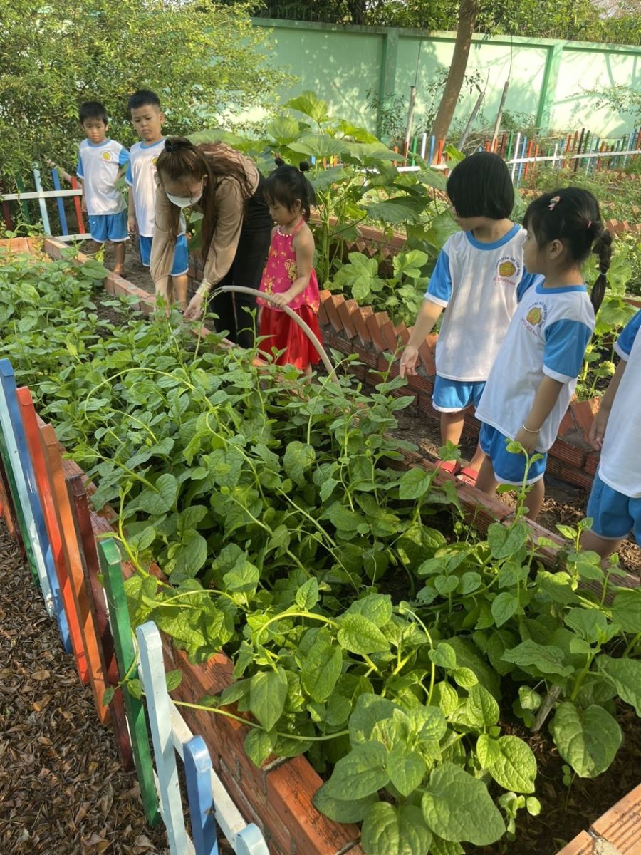 Hoạt động chăm sóc vườn rau của cô và trẻ trường mầm non Bình Minh